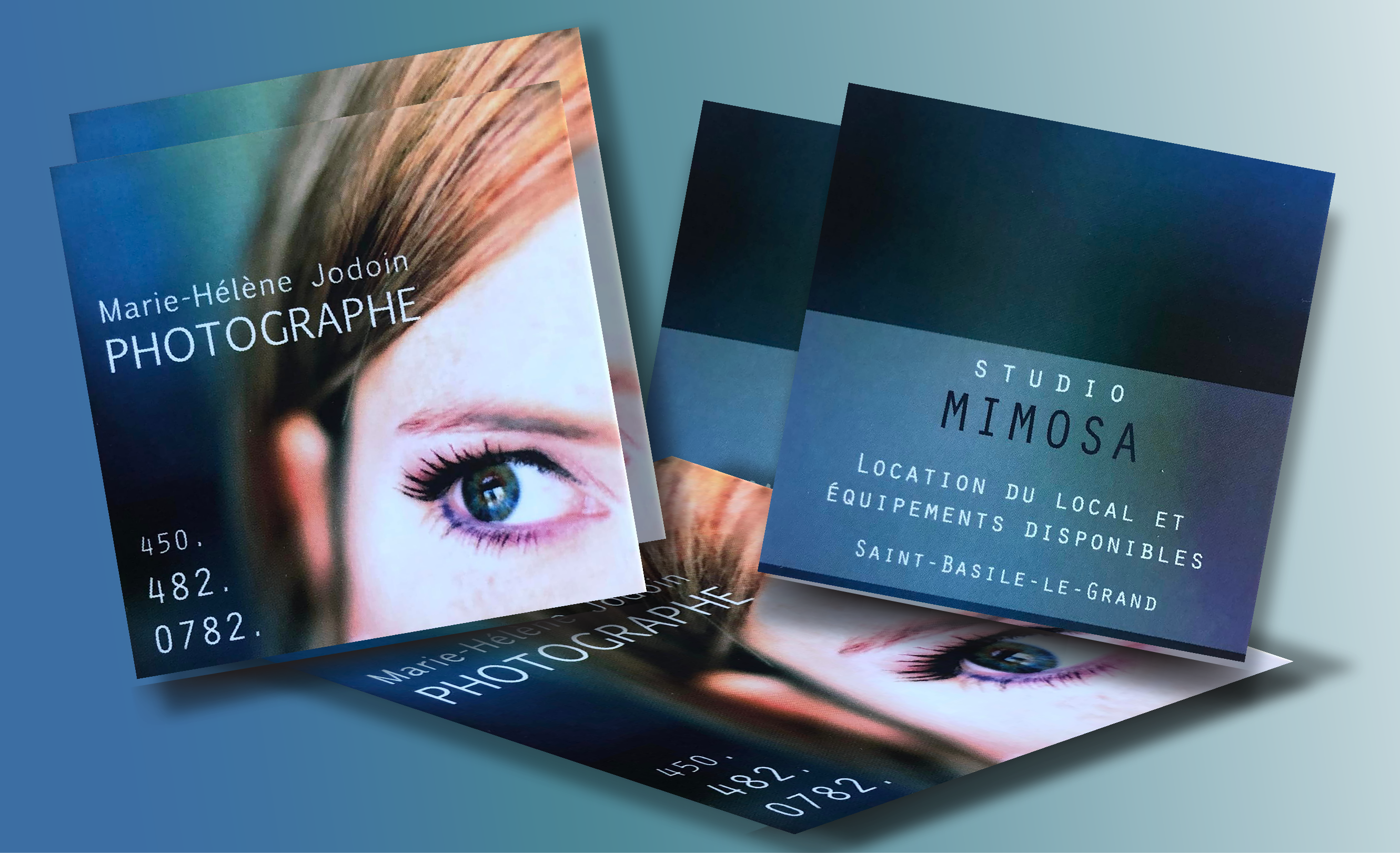  carte d affaires mimosa 01