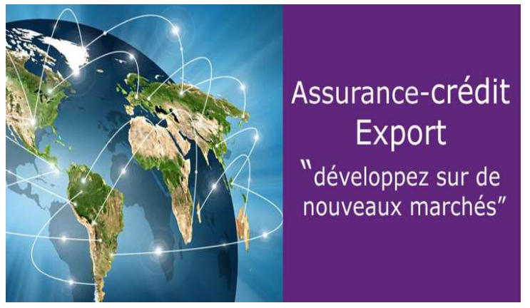 Image-AssuranceCreditExport