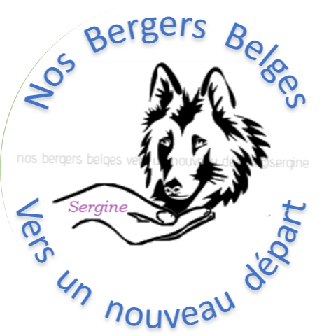 Nos-bergers-belges-pour-un-nouveau-depart-logo-rond