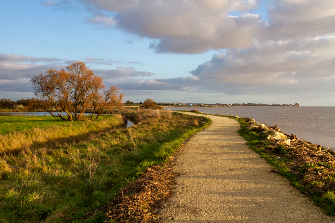  MG 9559-Meschers-sentier