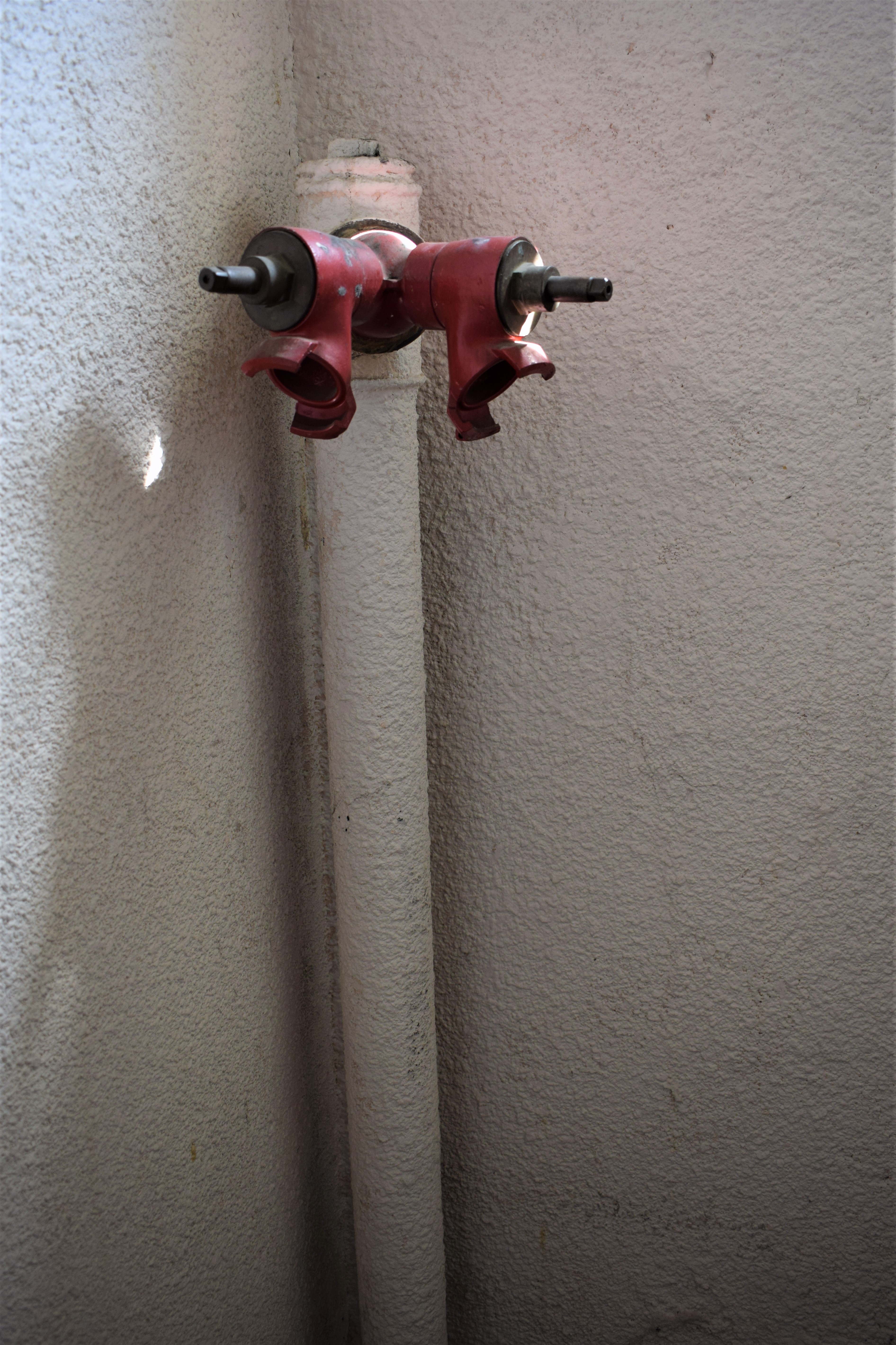 Dsc 0065 2 
