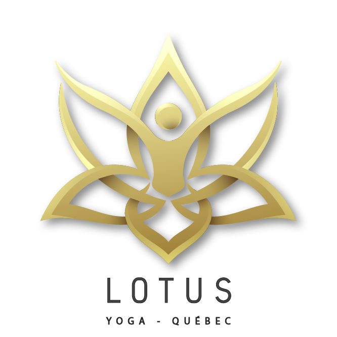 Yoga 01 01 01