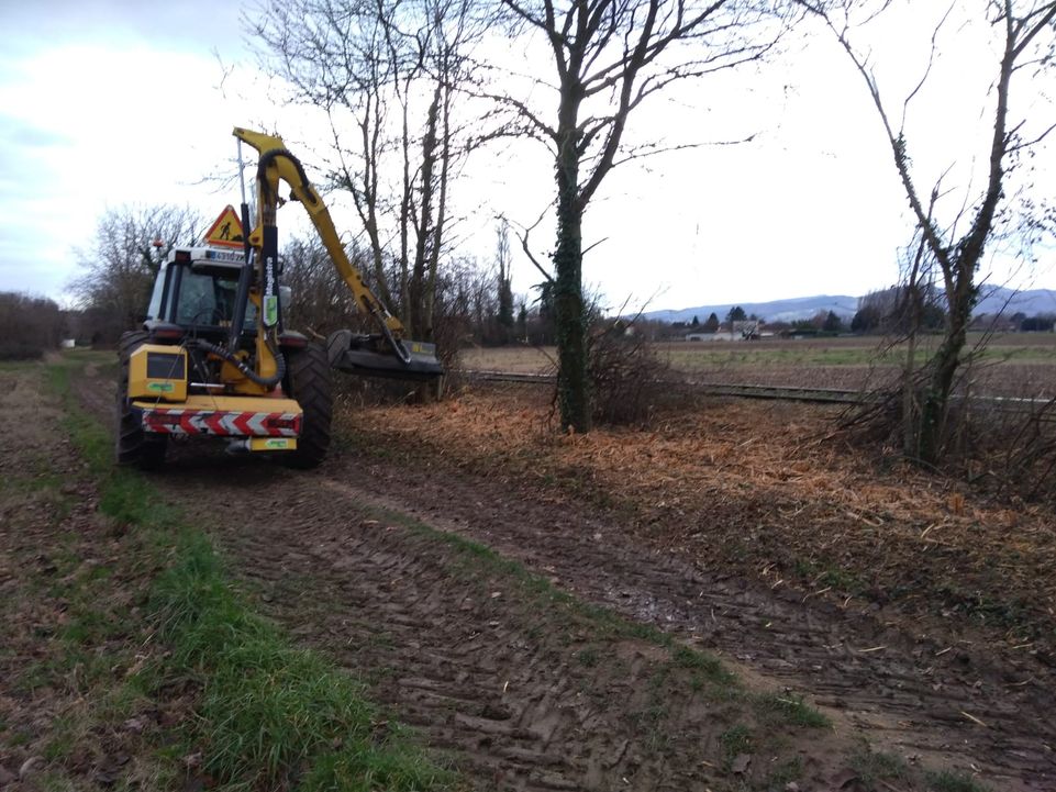 Une haie coupée par la région à Reyrieux.