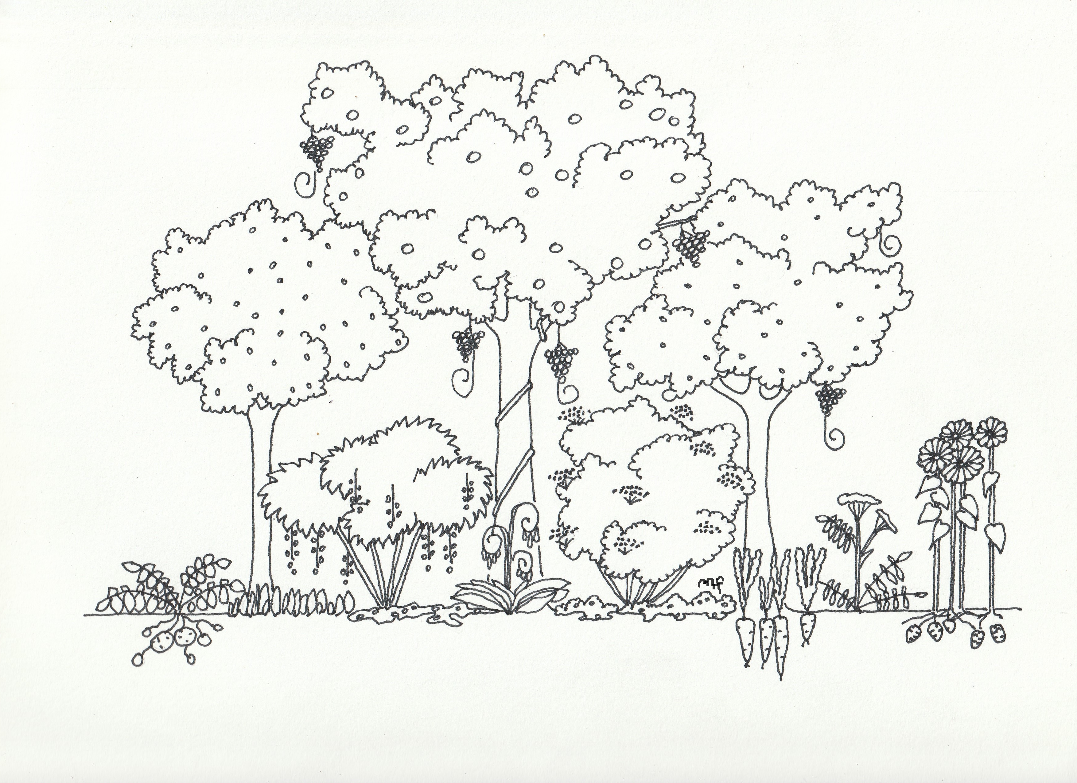 Etages-foret-jardin-signature