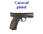 CaracalF-liste