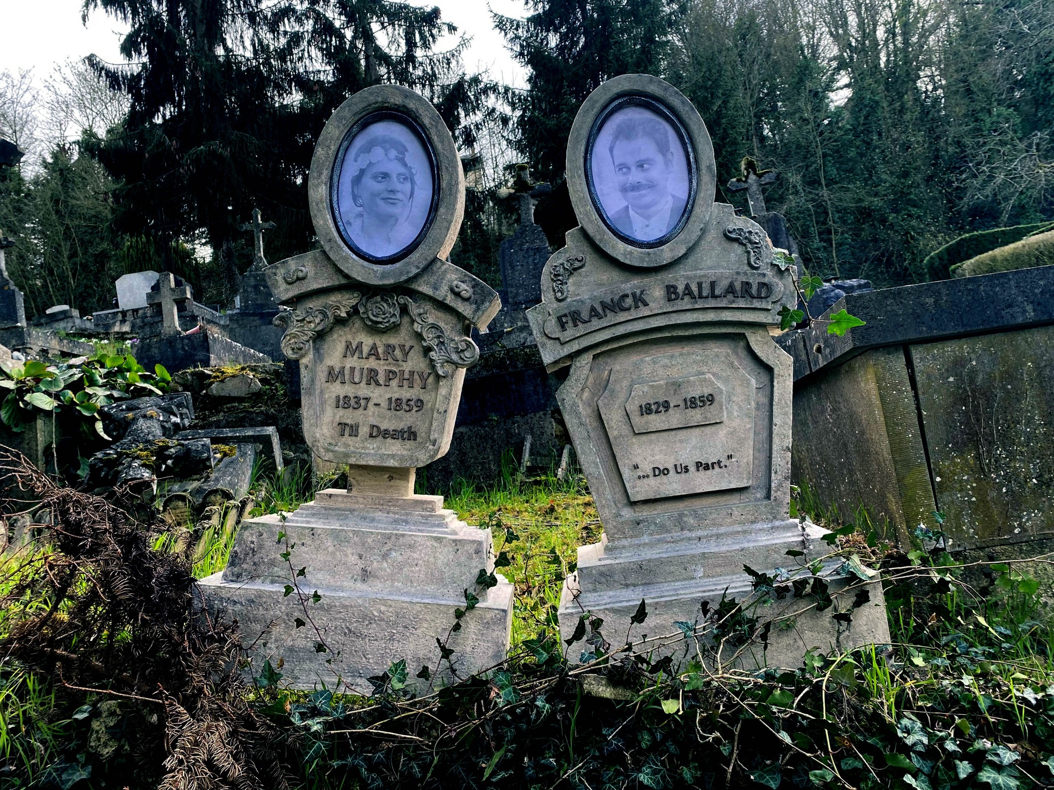 337541939 776388917536978 4358846356547878234 n