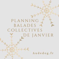 Planning des balades collectives de Janvier