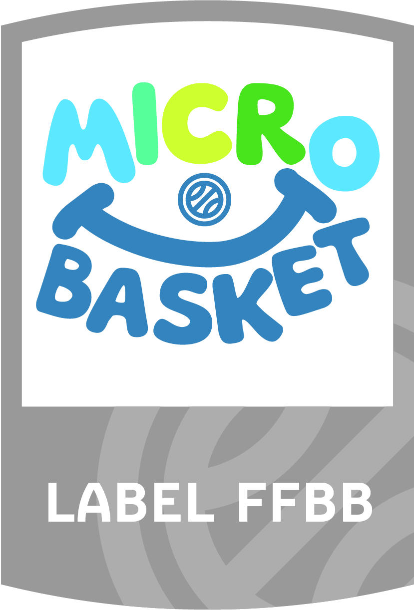 Logo-micro-Basket