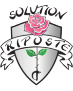61e940af2d360783bb74087f SolutionRiposte