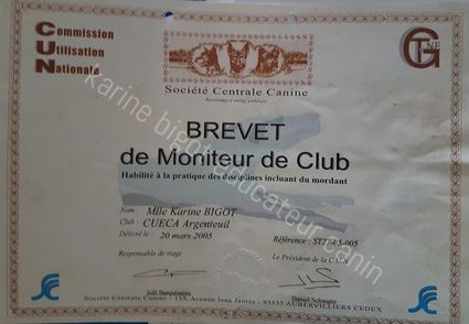 Moniteur-club-bigot-karine-educateur-canin-persan-95-60