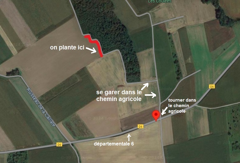 Plantation samedi 27 janvier - plateau de Reyrieux - 9h