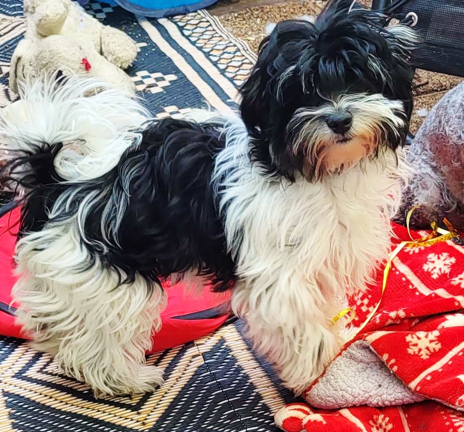 346113274 798103191943952 2987471751350121314 n