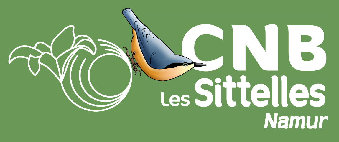 Les-Sittelles-Ban-5v2-