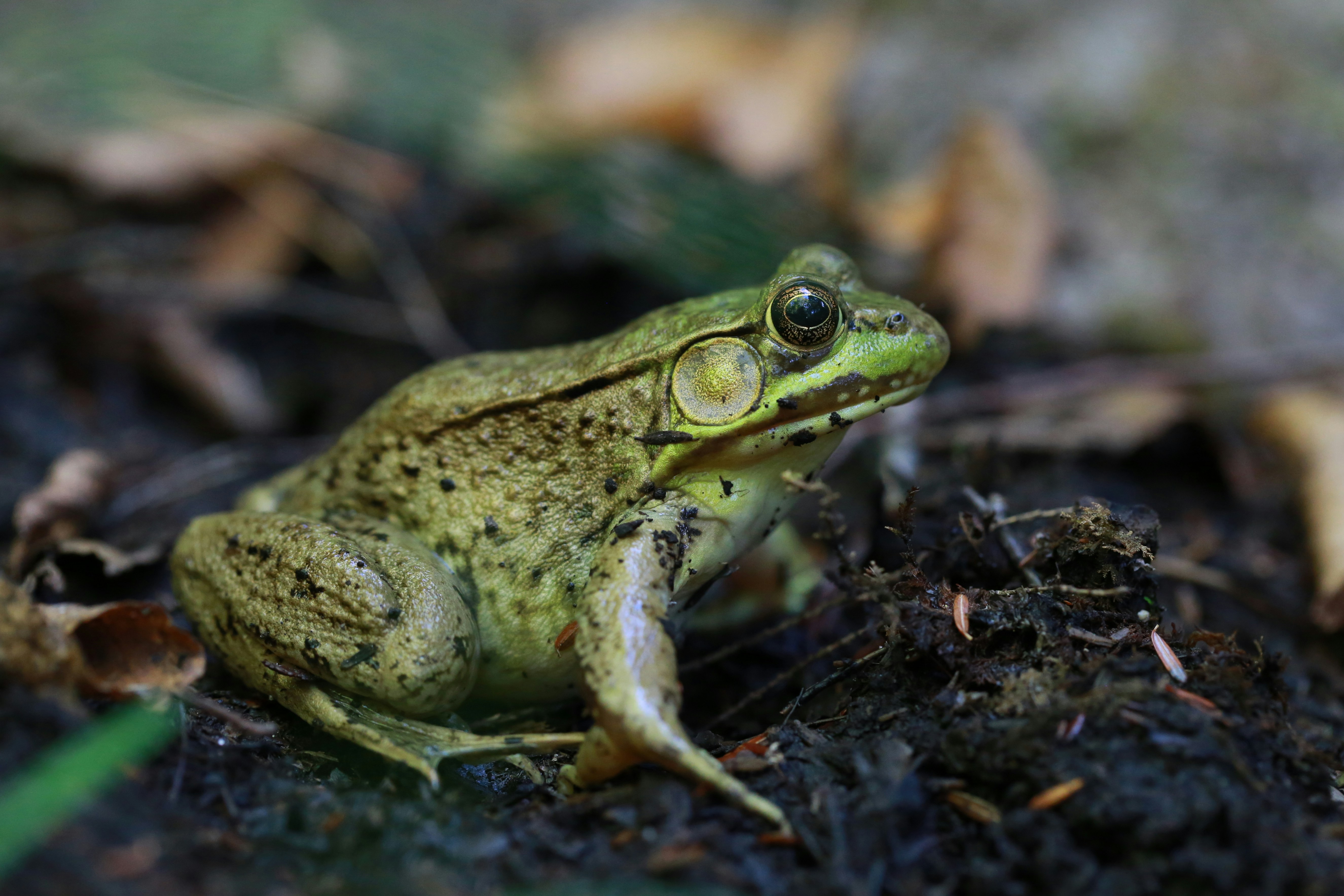 Gary-yost-klDuRg2ZfNs-unsplash
