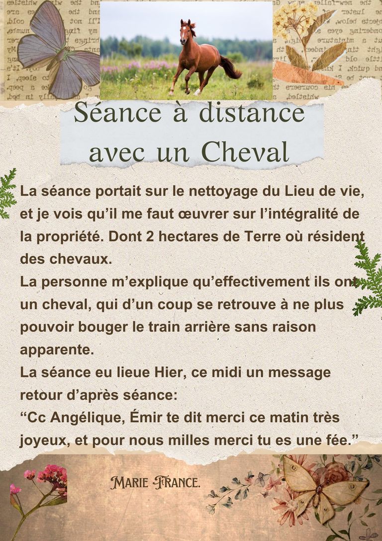 Cheval emir