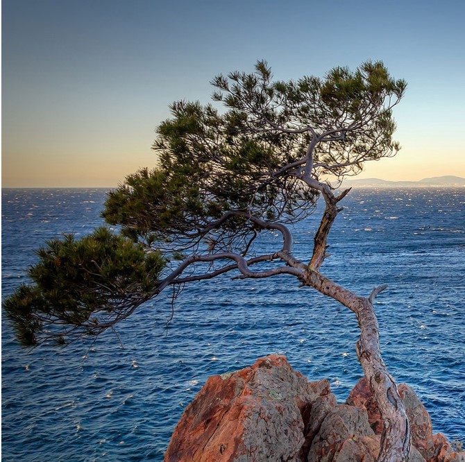 Cdn-provence