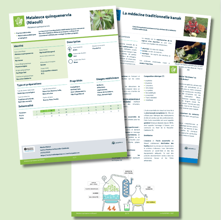 22-nouvelles-fiches-plantes-me-dicinales-agripedia