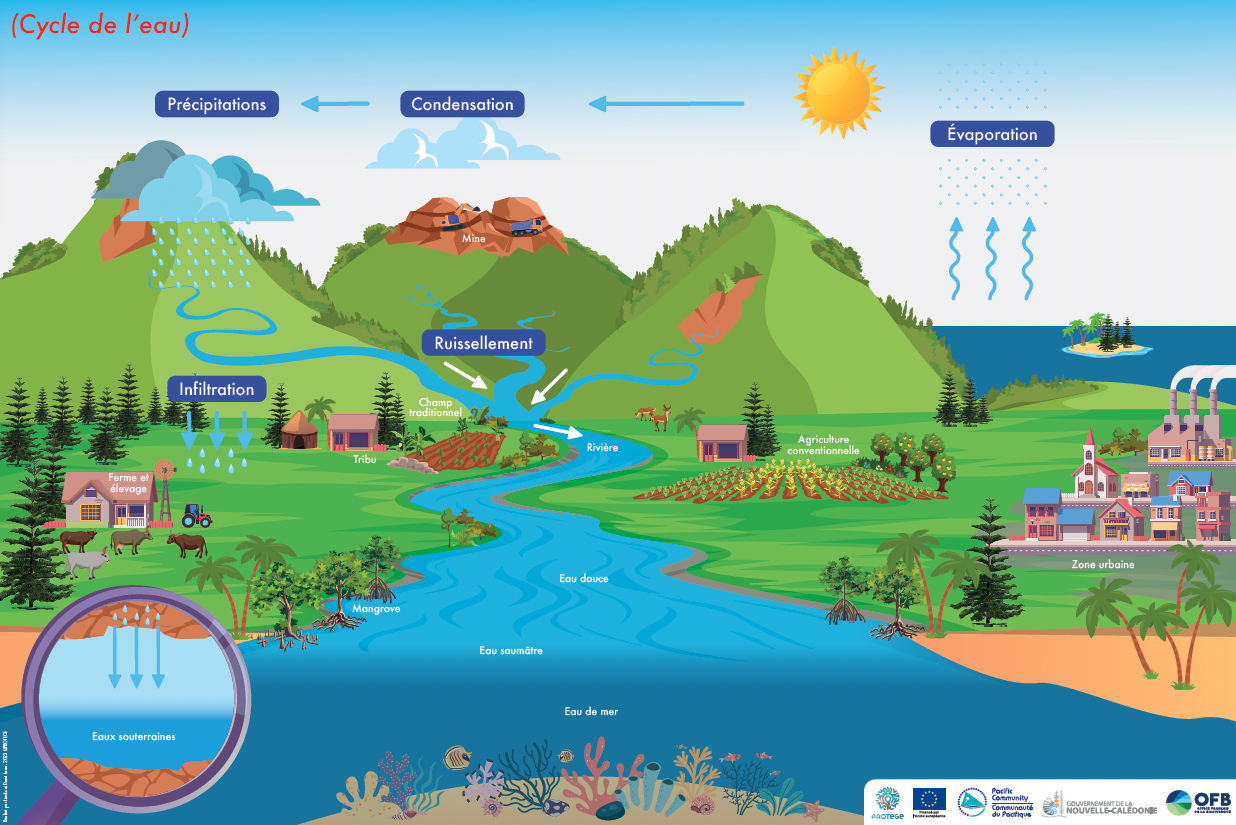 Infographie-cycle-de-l-eau-NC