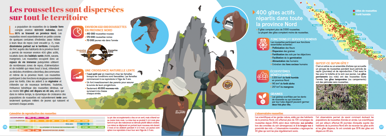 Infographie-2