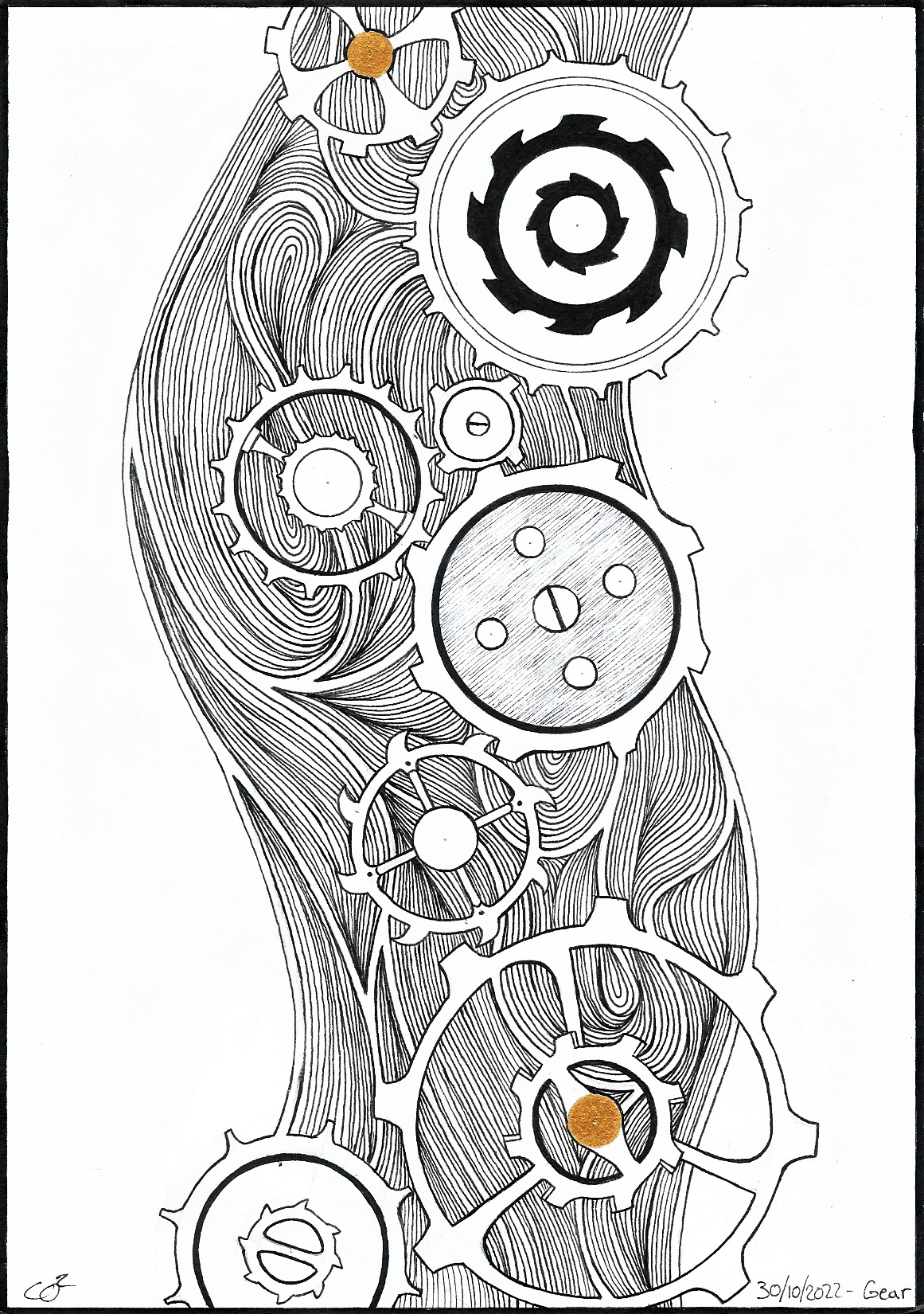 30 gear