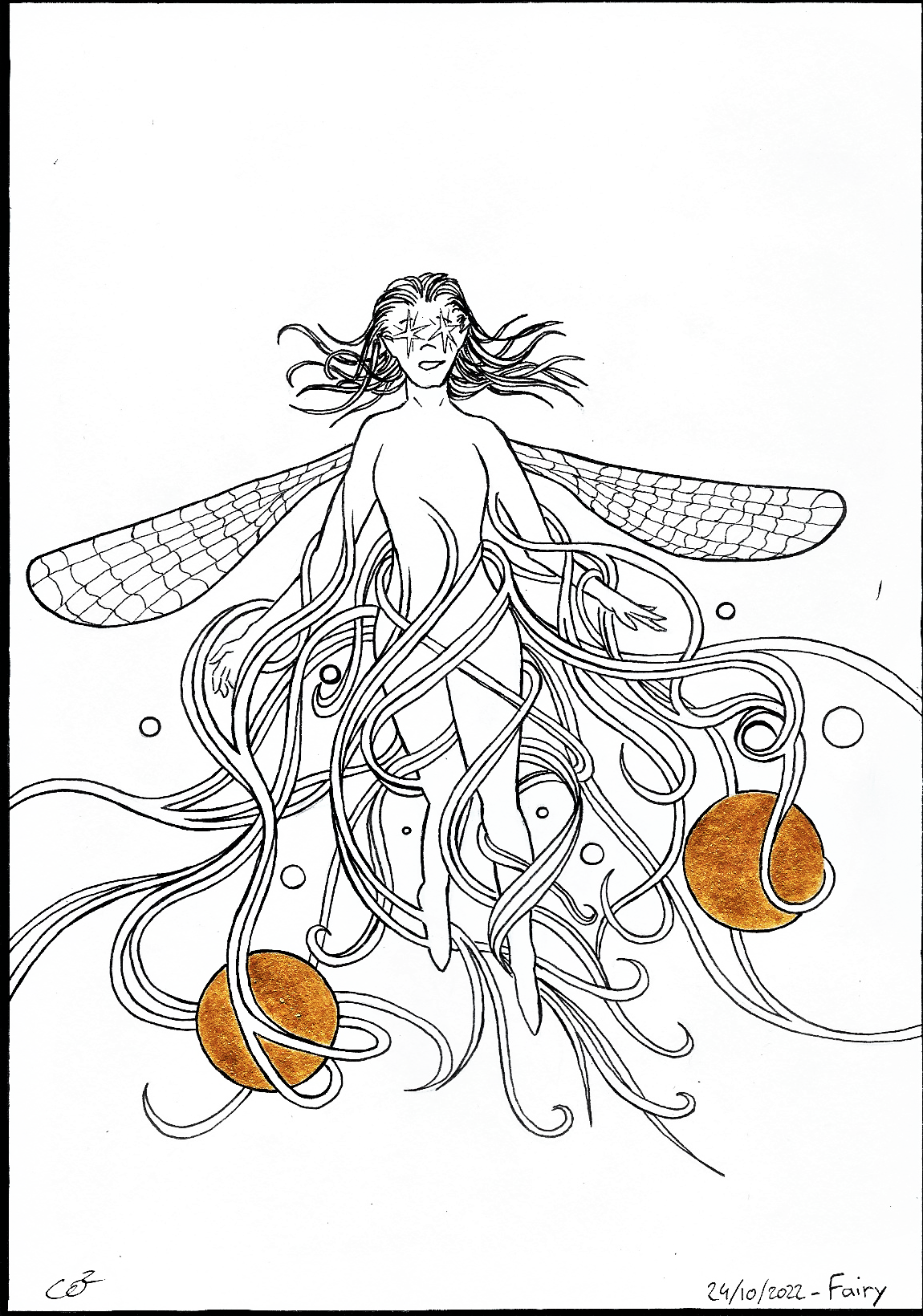 24 fairy