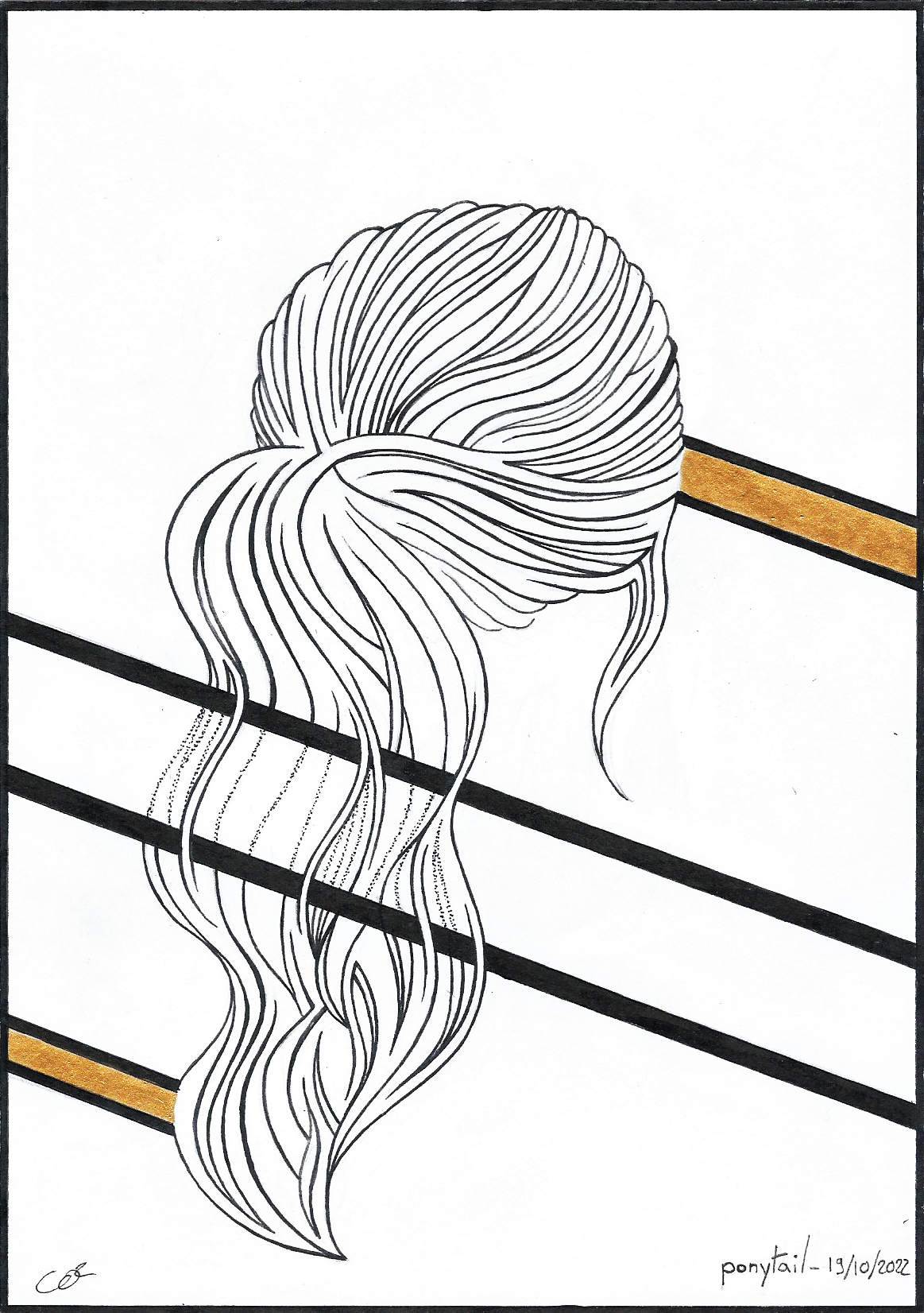 19 ponytail
