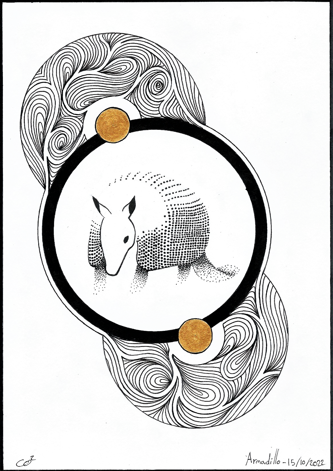 15 armadillo