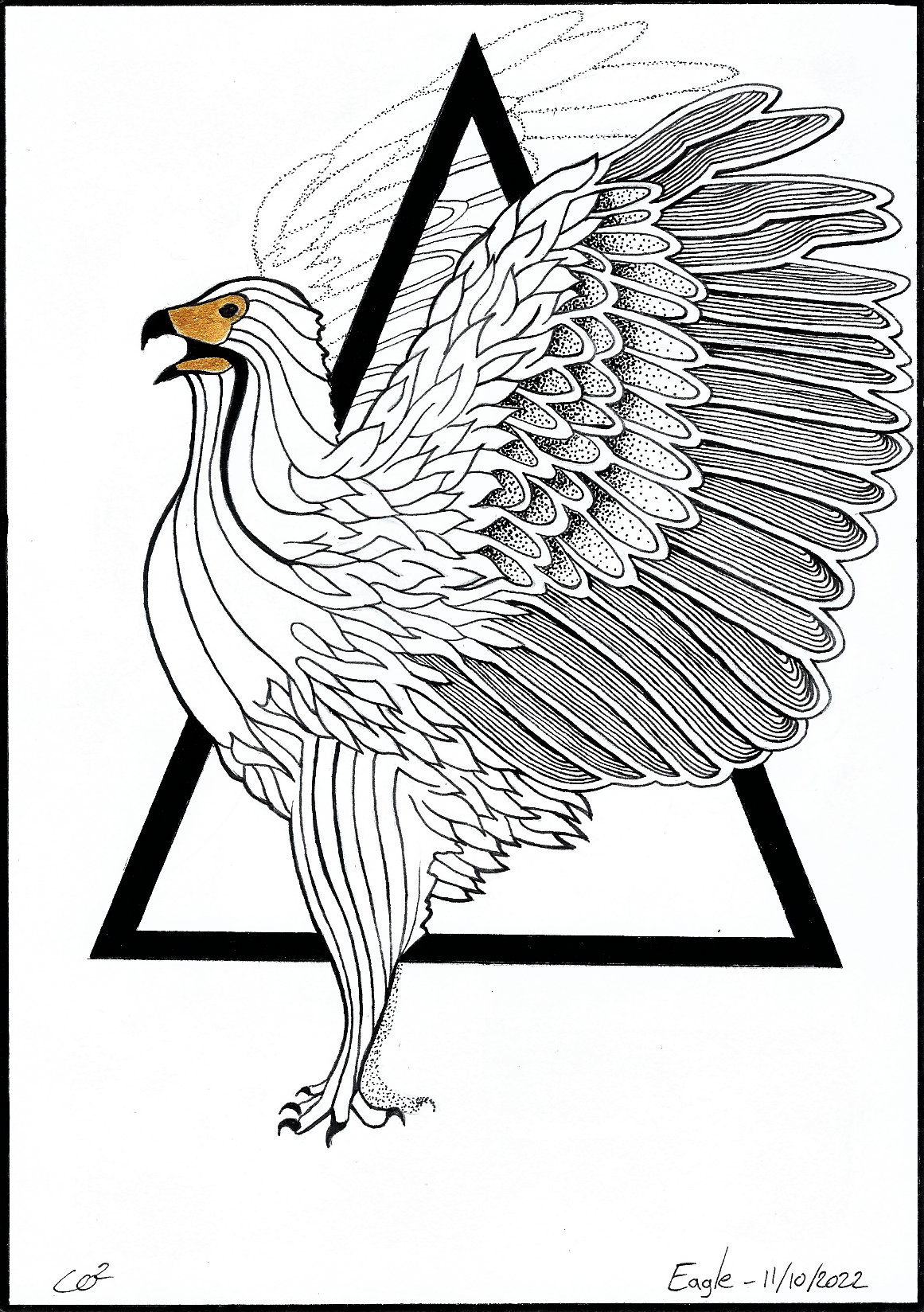 11 eagle