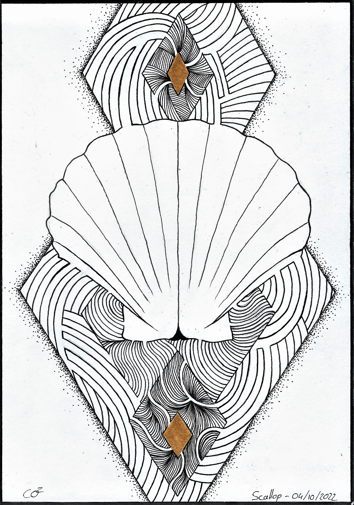 04 scallop