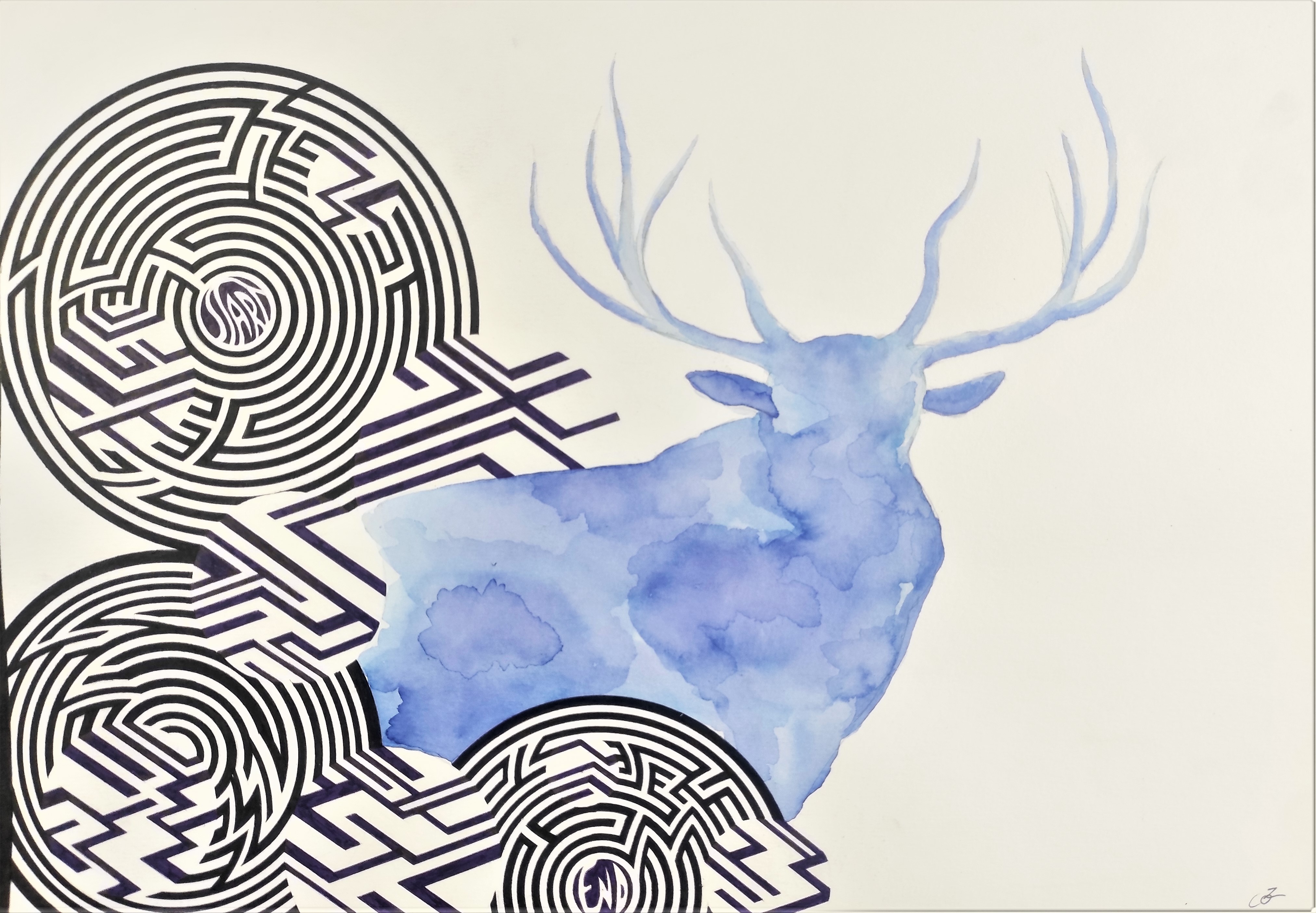 Cerf1