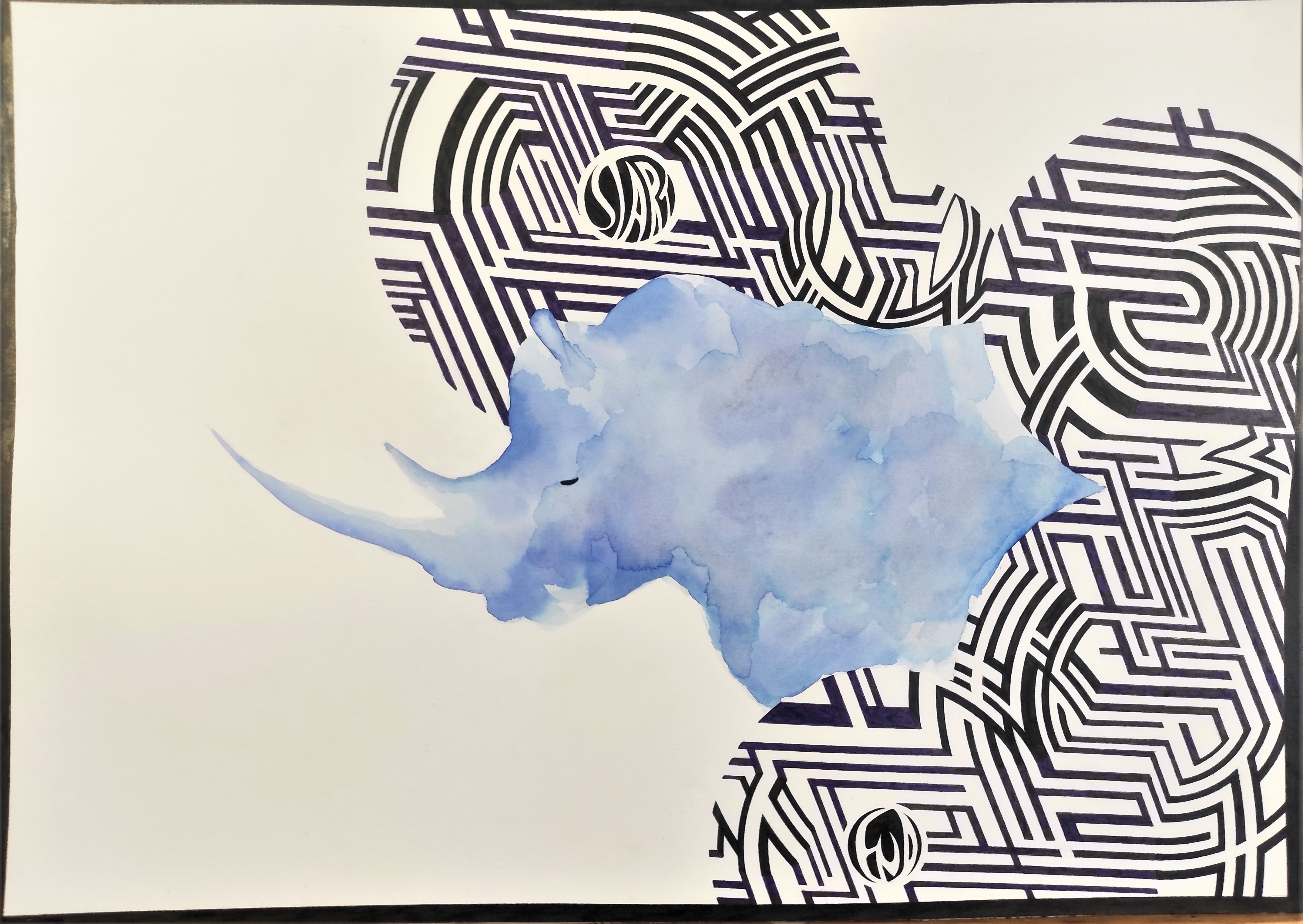 Rhino1