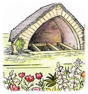 413994732 2372944076505867 119613076353594433 n