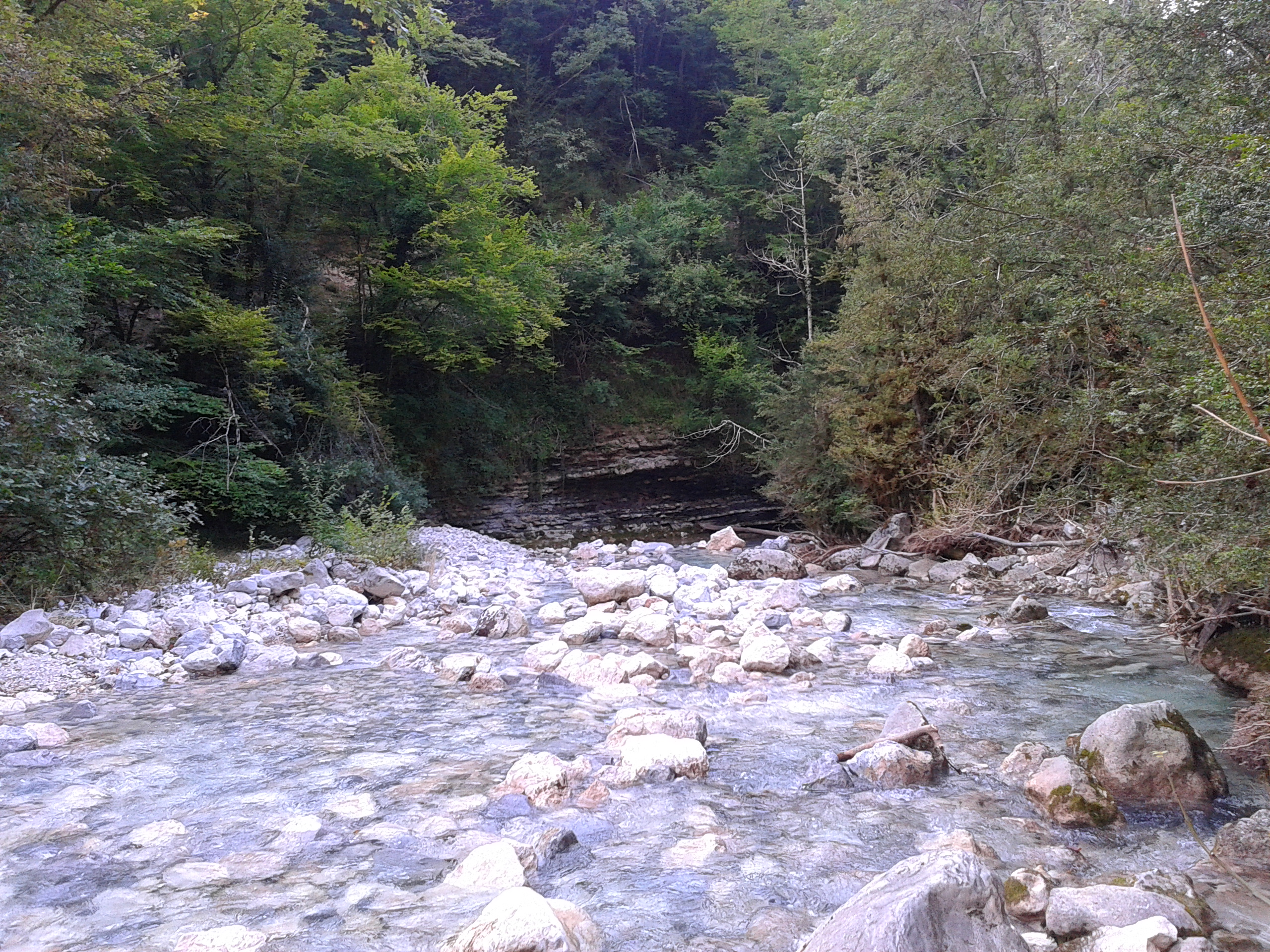 20140810 185757