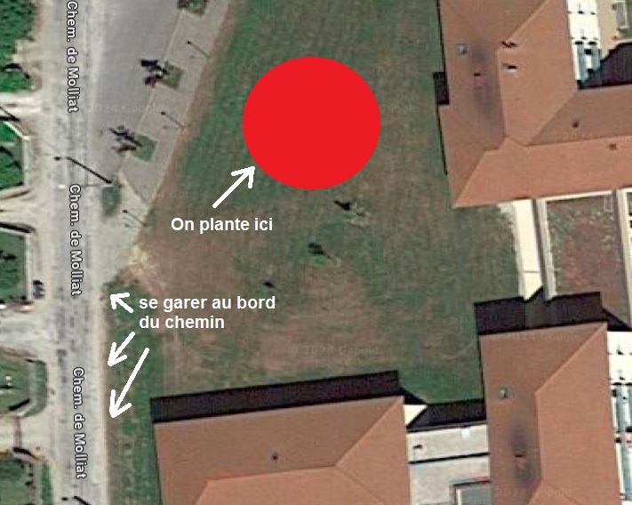 Plantation mini-forêt - samedi 3 février à Lagnieu