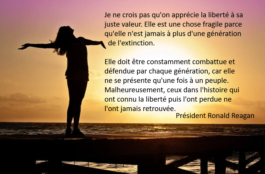 Declaration-Ronald-Reagan-image-Web