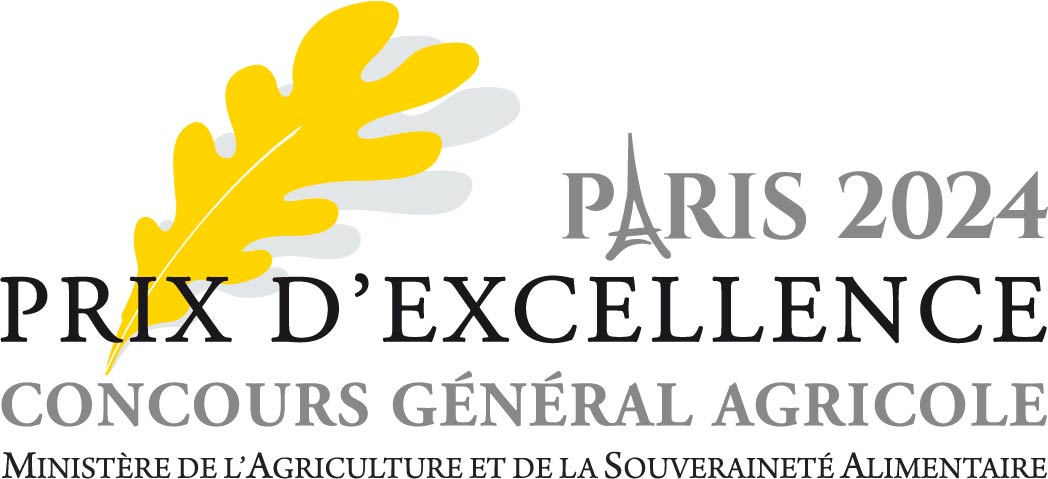 LOGO-Prix-Excellence-ai-2024-NOIR-1-