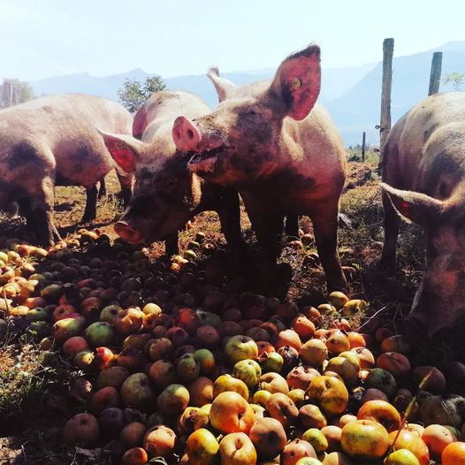 375835818 291959530262829 2042111308783626179 n