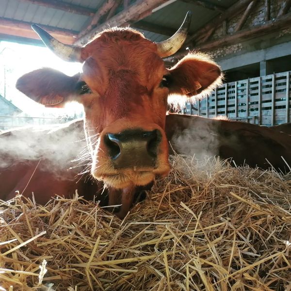 411224875 350840211041427 5269304309123395396 n