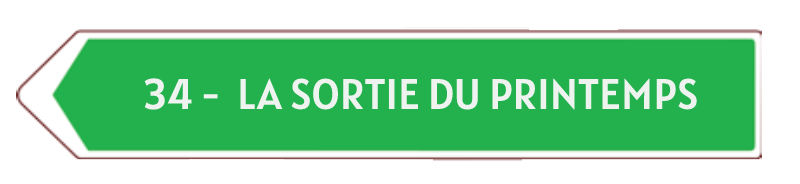 Nouveau-projet-3-1-