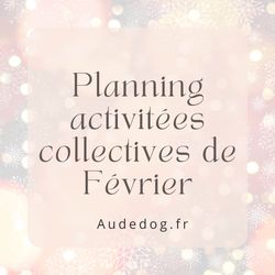 Planning des activités collectives de Février 2024