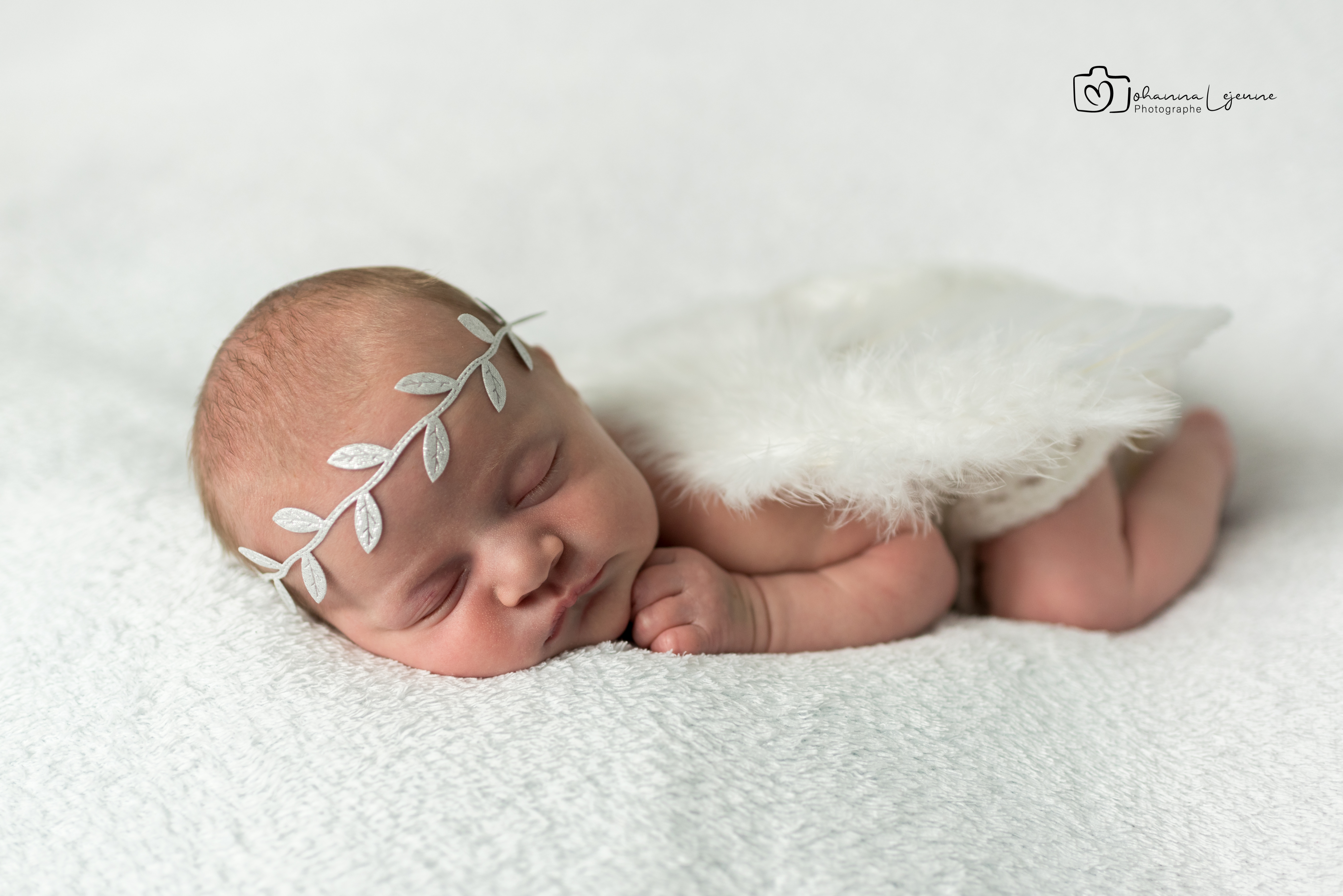 Adeline 13 
