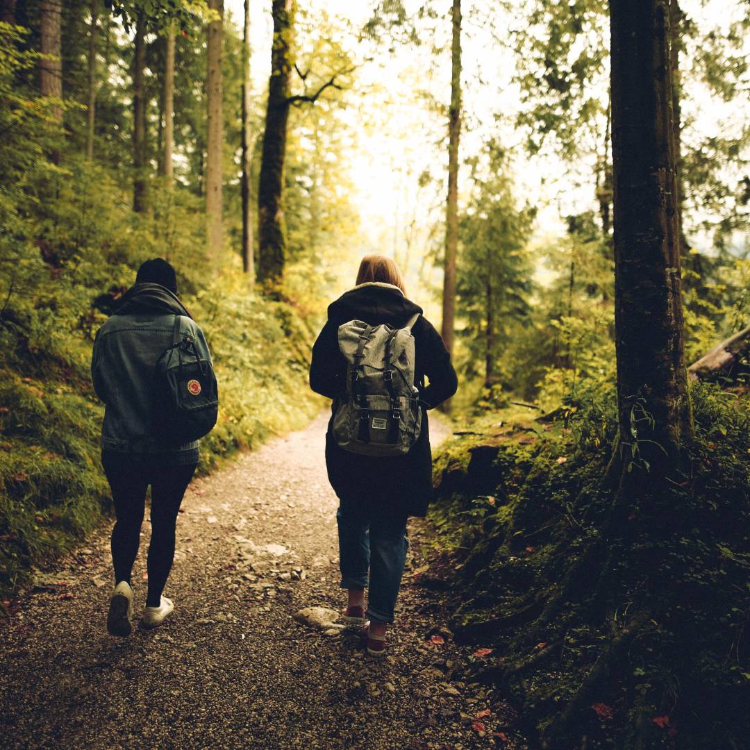 L'alliance de la marche et du coaching en nature