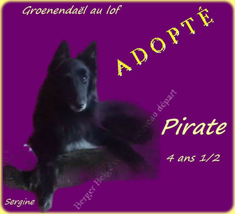 Pirate-phot-post-2-