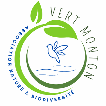 Logo-VertMonton-090224-V3-recadre