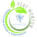 Logo-VertMonton-090224-V3-recadre