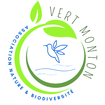Logo-VertMonton-090224-V3-recadre