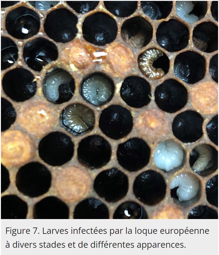 Capture-d-ecran-2023-09-22-071555