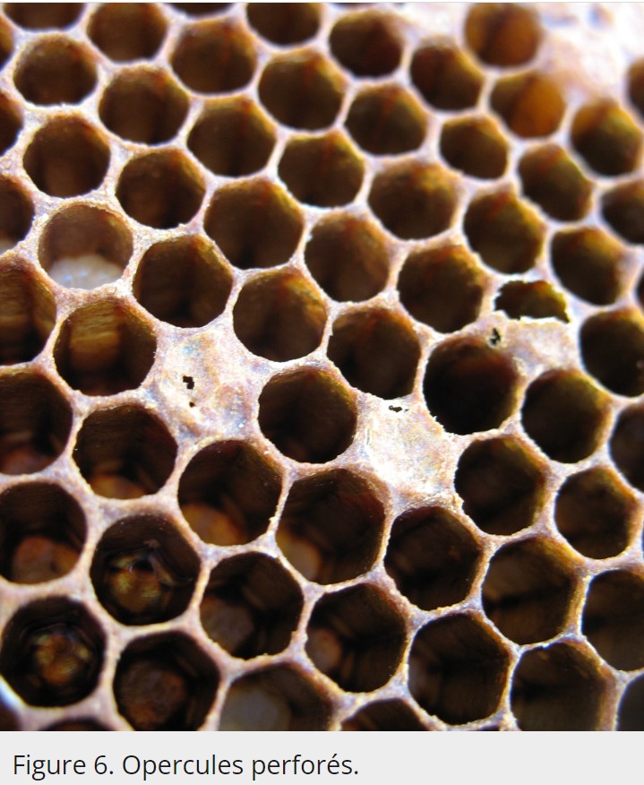 Capture-d-ecran-2023-09-22-071432