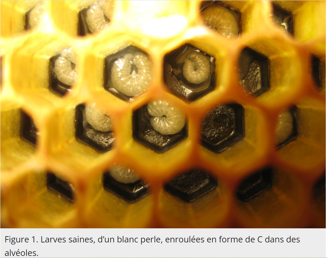 Capture-d-ecran-2023-09-22-070603