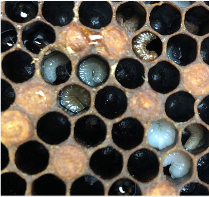 Capture-d-ecran-2023-09-22-070452